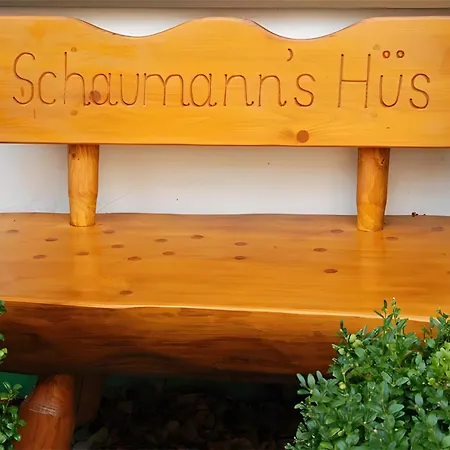 Schaumann's Hues
